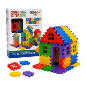 Large House Puzzle